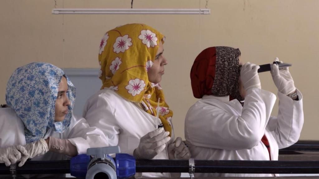 Un fotograma del cortometraje documental ‘Solo son peces’