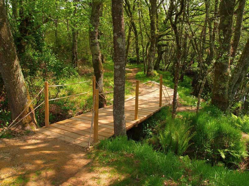  Senderos de la Ruta del Agua de Gutiriz (turismo.gal)