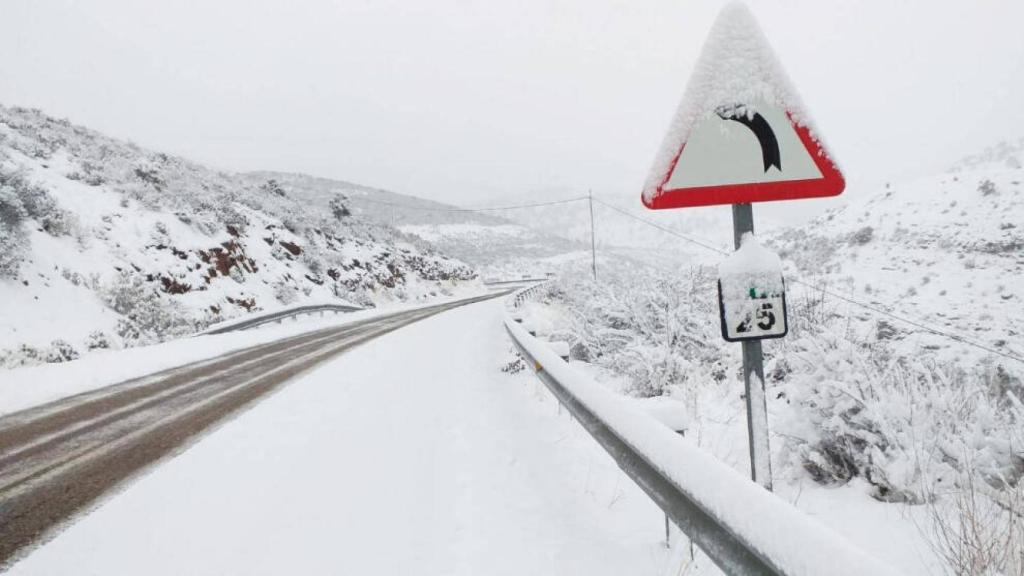 Imagen de esta semana en una carretera de Castilla-La Mancha