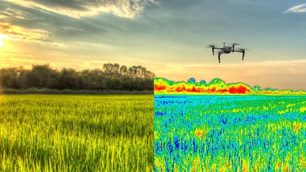 Recreación de uno de los proyectos elegidos.