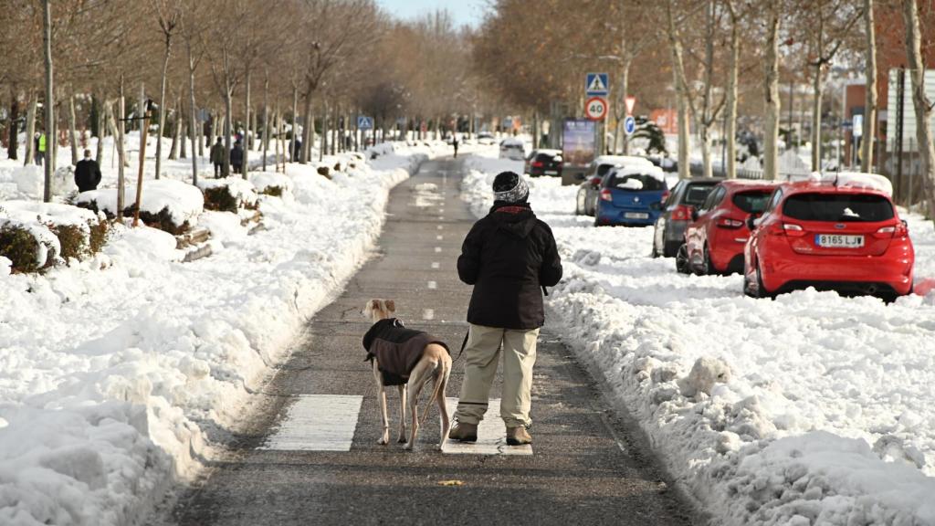 Coches varados en una de las principales calles de Madrid
