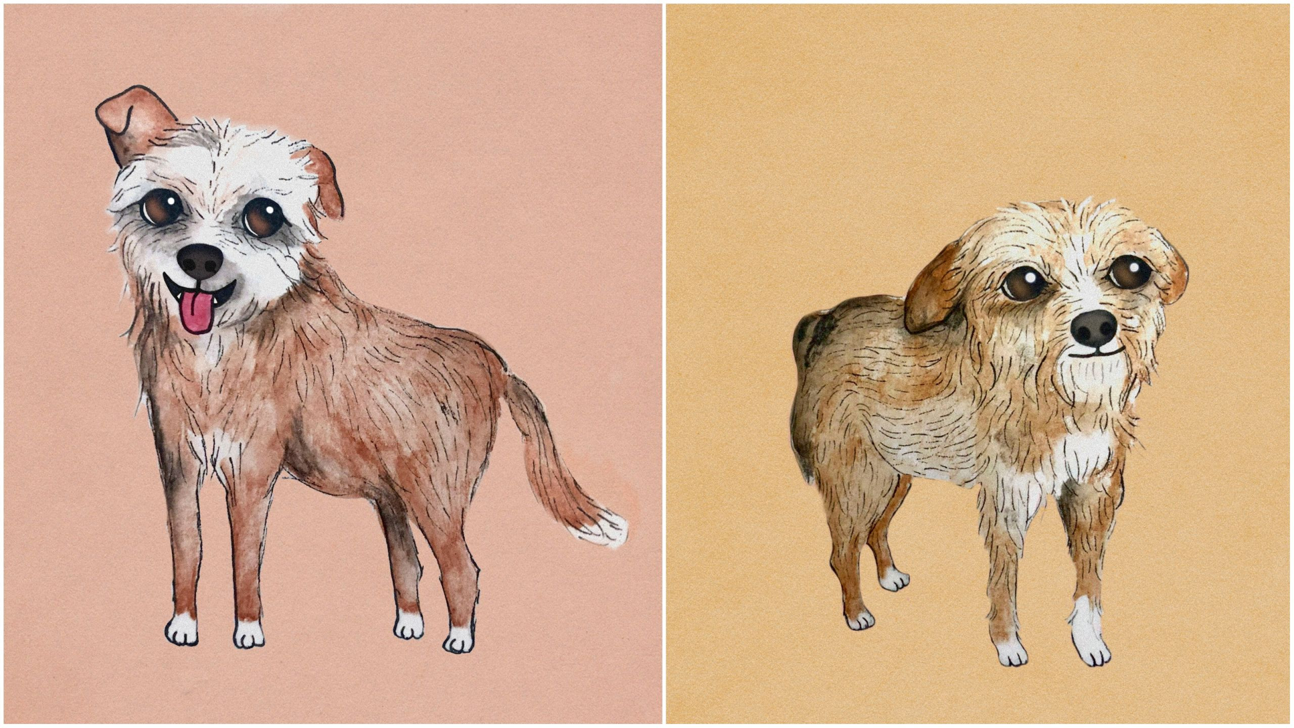 Ilustración de las perritas Meli y Zenda de la protectora pontevedresa Os Biosbardos, apadrinadas por Mar Martitegui.