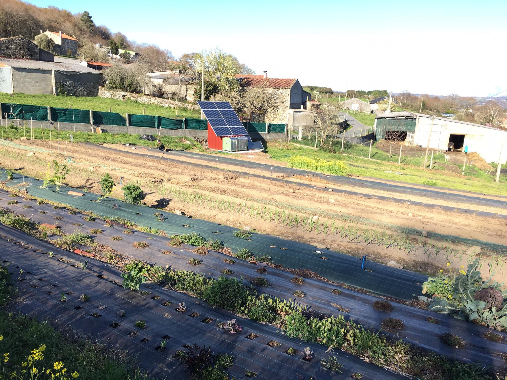 Imagen de la huerta de Trasdeza Natur (Cedida).