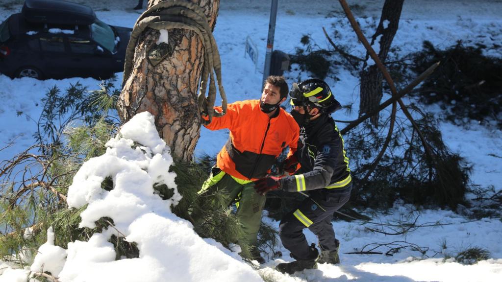 Servicios municipales del Ayuntamiento de Madrid.