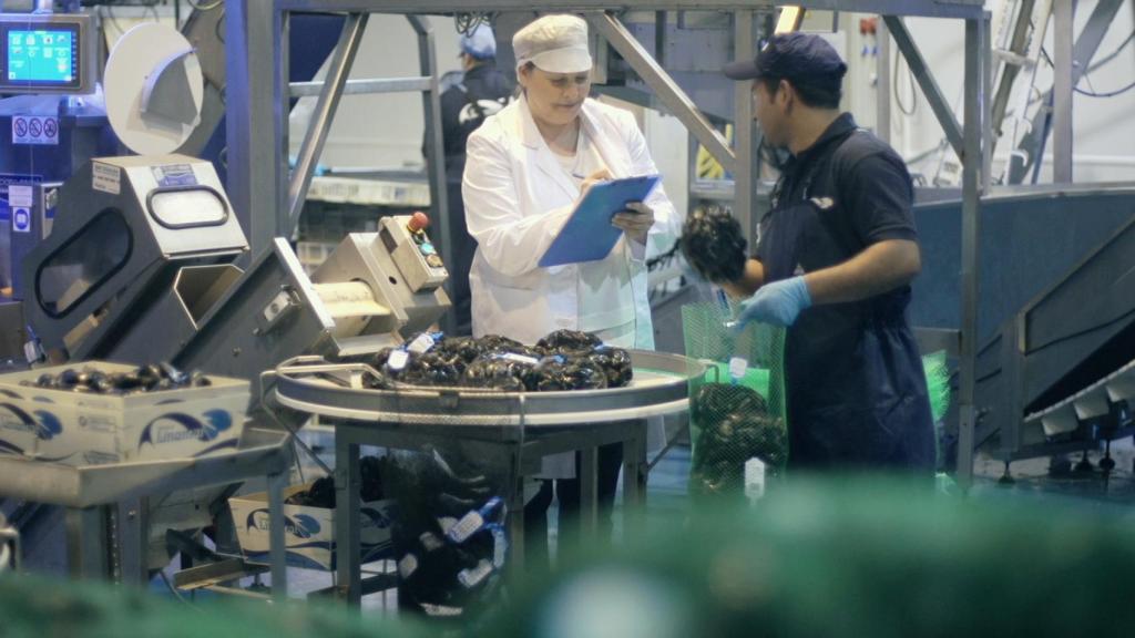 Lina Solla, trabajando en su empresa.