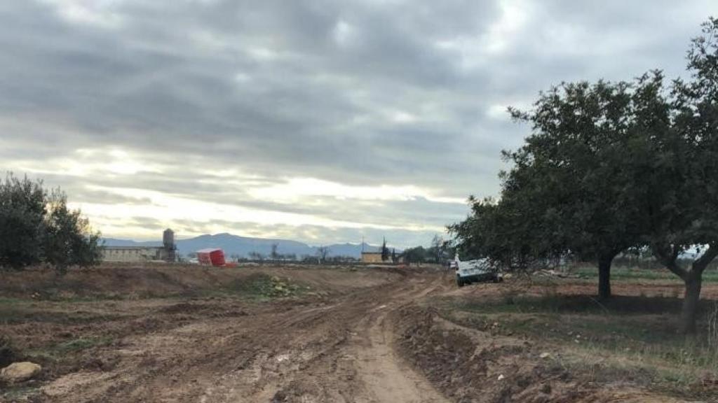 Imagen del campo murciano.