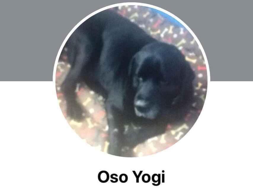 La foto de perfil y el nombre que utiliza Julián Muñoz.