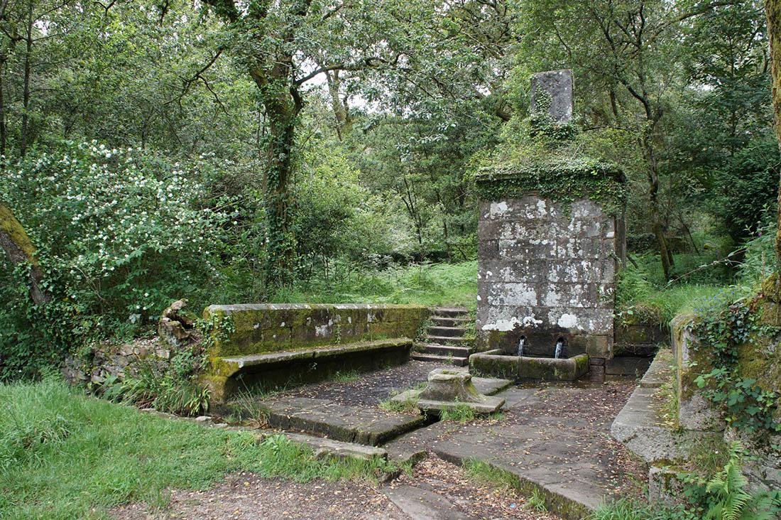 La fuente de la Selva Negra de Santiago de Compostela (Compostela Verde).