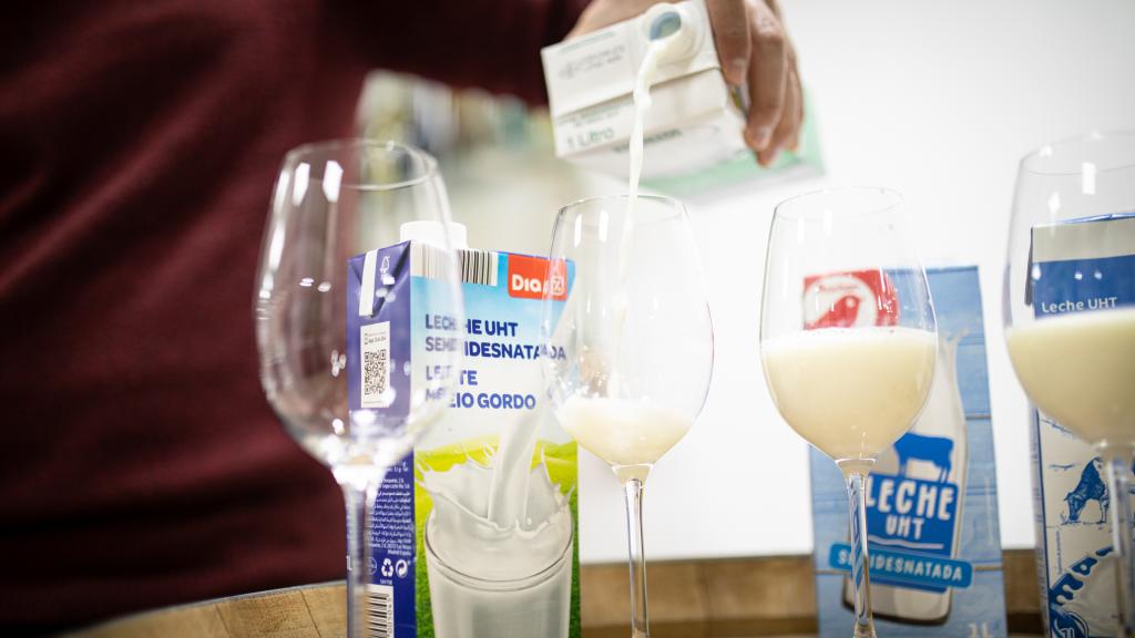 Se sirve la misma cantidad de las leches semidesnatadas para que Carmen pueda realizar la cata.