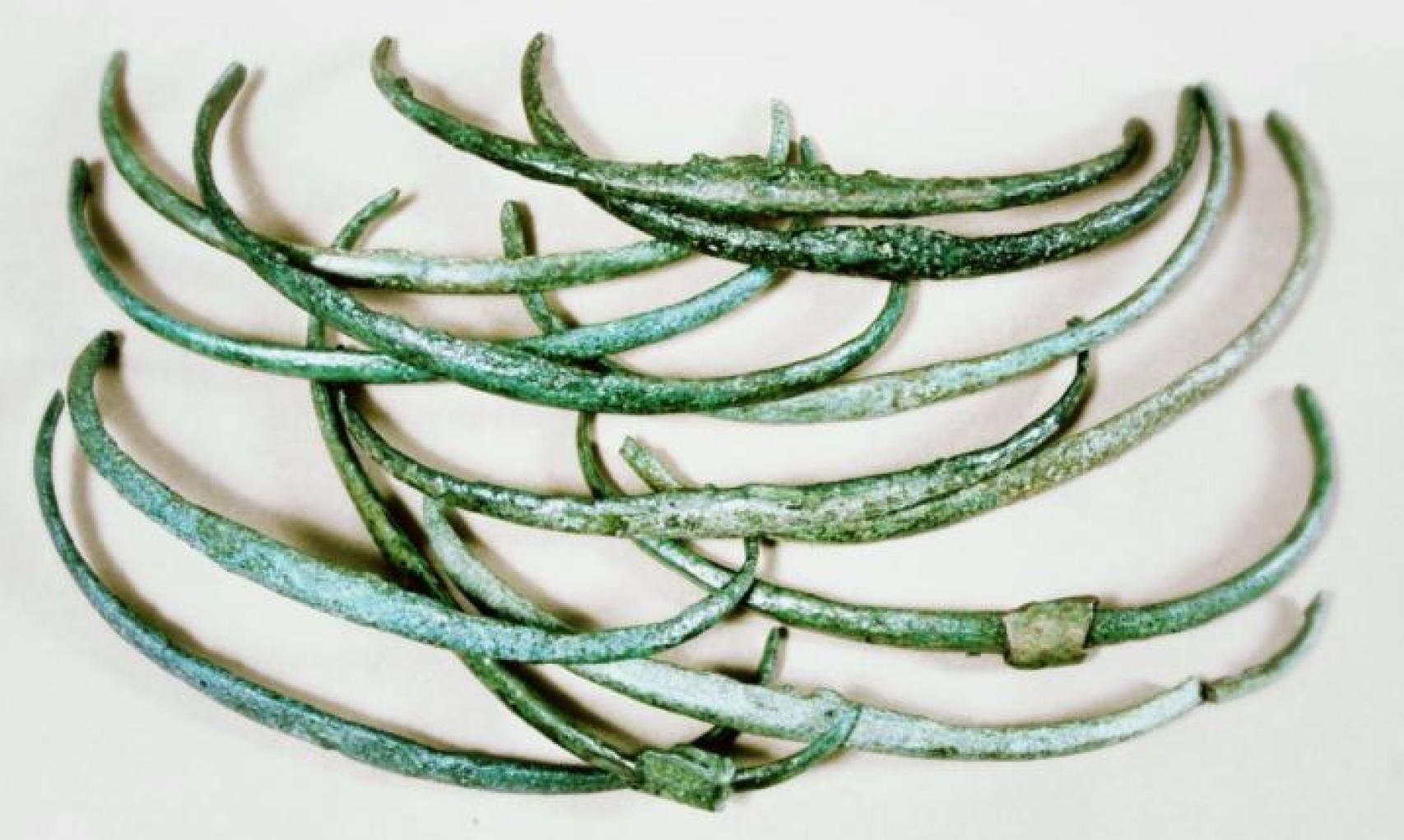 Las costillas de la Edad del Bronce.