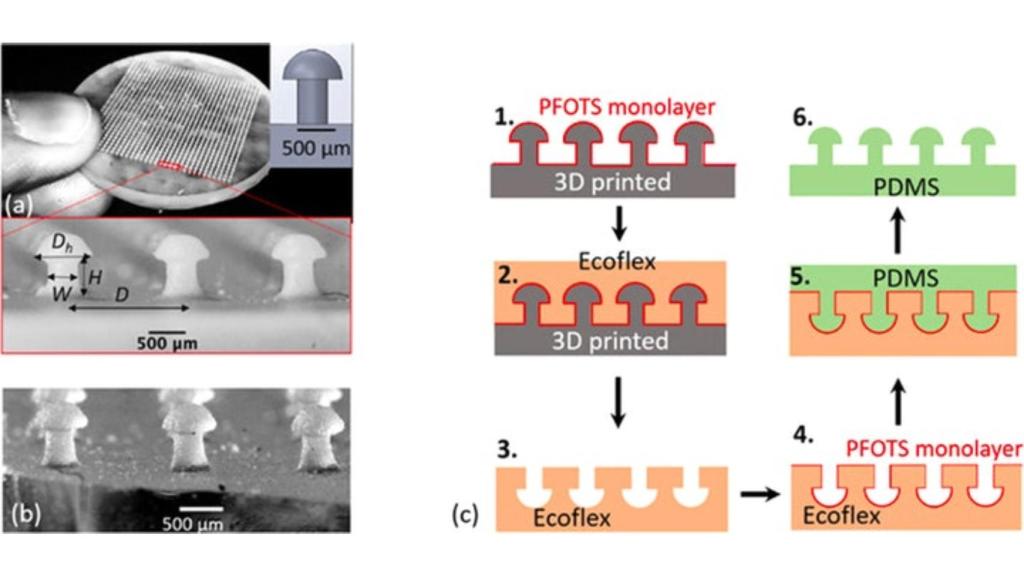 La muestra impresa en 3D en forma de hongo.