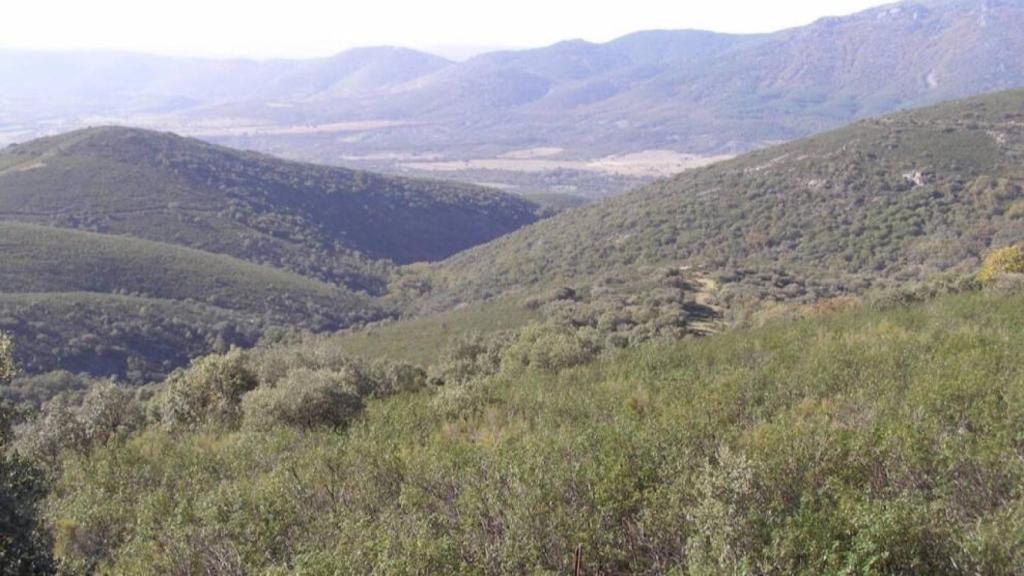 Parque Nacional de Cabañeros