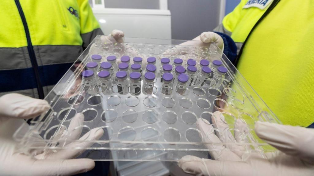 Imagen de las primeras dosis contra la Covid que llegaron a Murcia para el inicio de la campaña de vacunación en residencias de mayores.