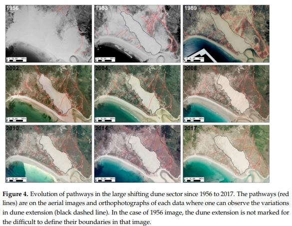 Evolución de los senderos entre 1956 y 2017 (Applied Science).