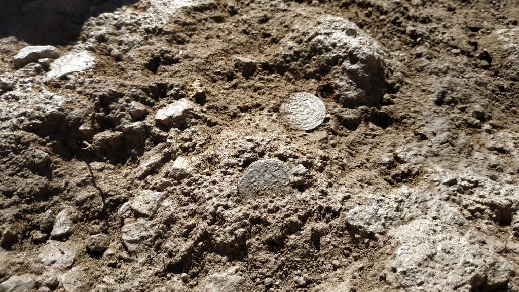 Disposición de varios de los dírhams en el momento del hallazgo.