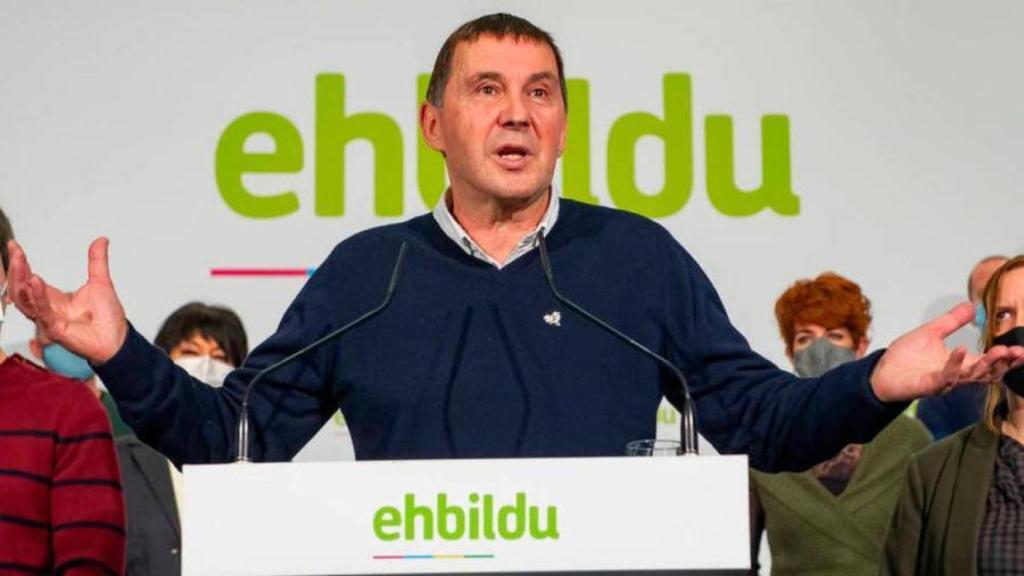 El coordinador general de EH Bildu, Arnaldo Otegi. Efe