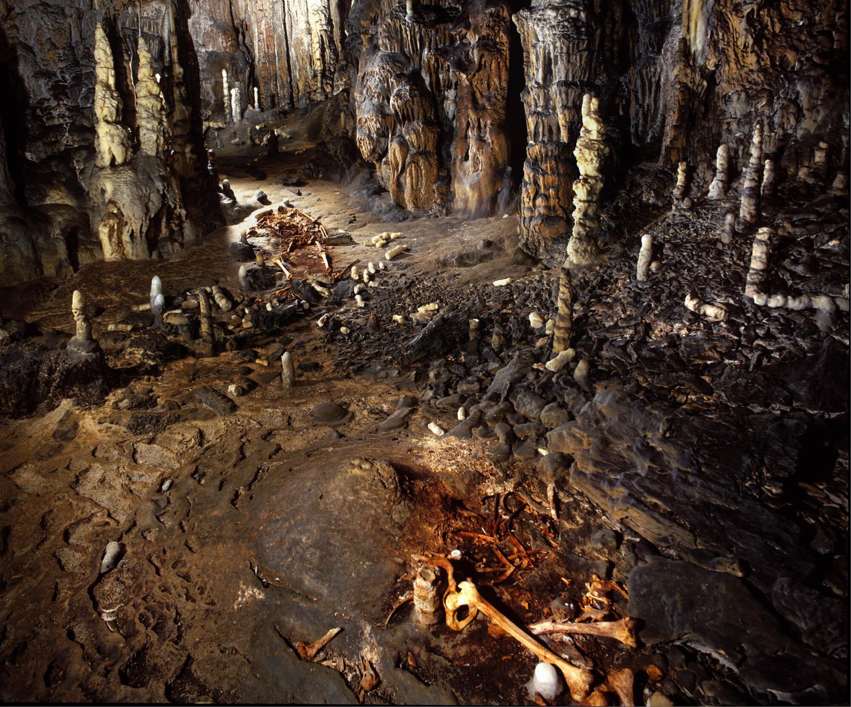 Esqueletos visigodos hallados en la cueva de La Garma.