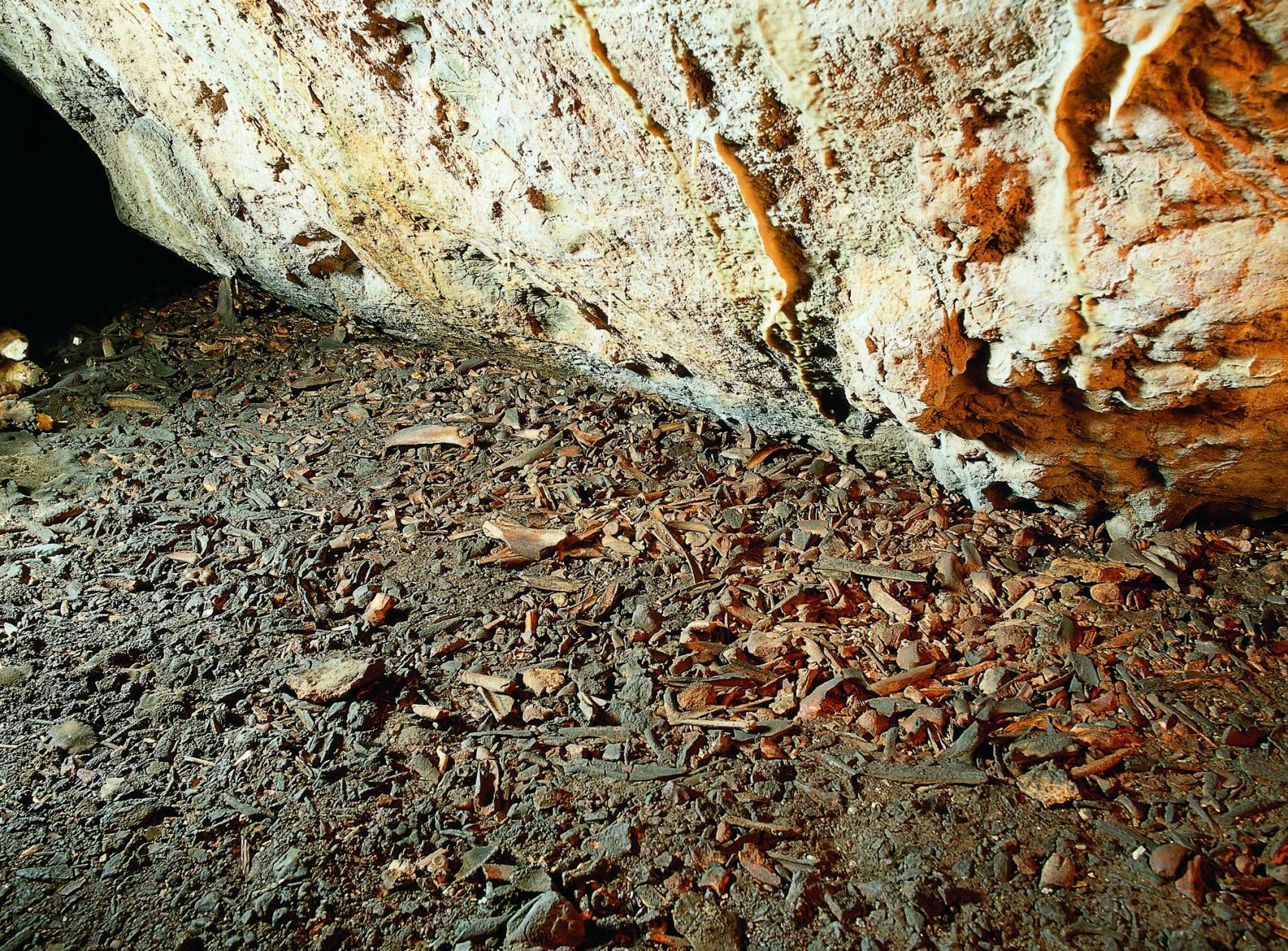 Uno de los suelos excepcionales de La Garma.