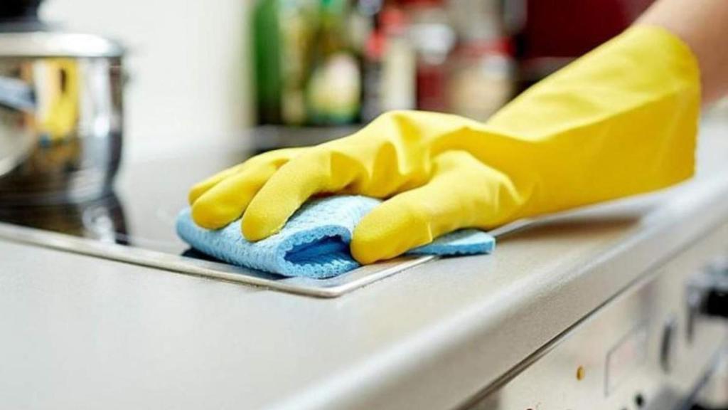 Trabajadoras del hogar