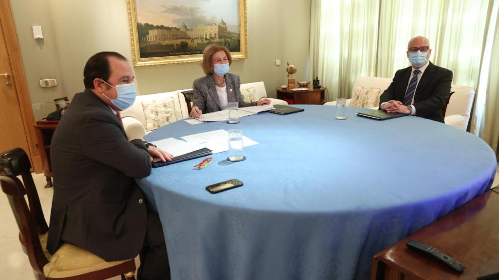 La reina Sofía este miércoles en una reunión de trabajo.