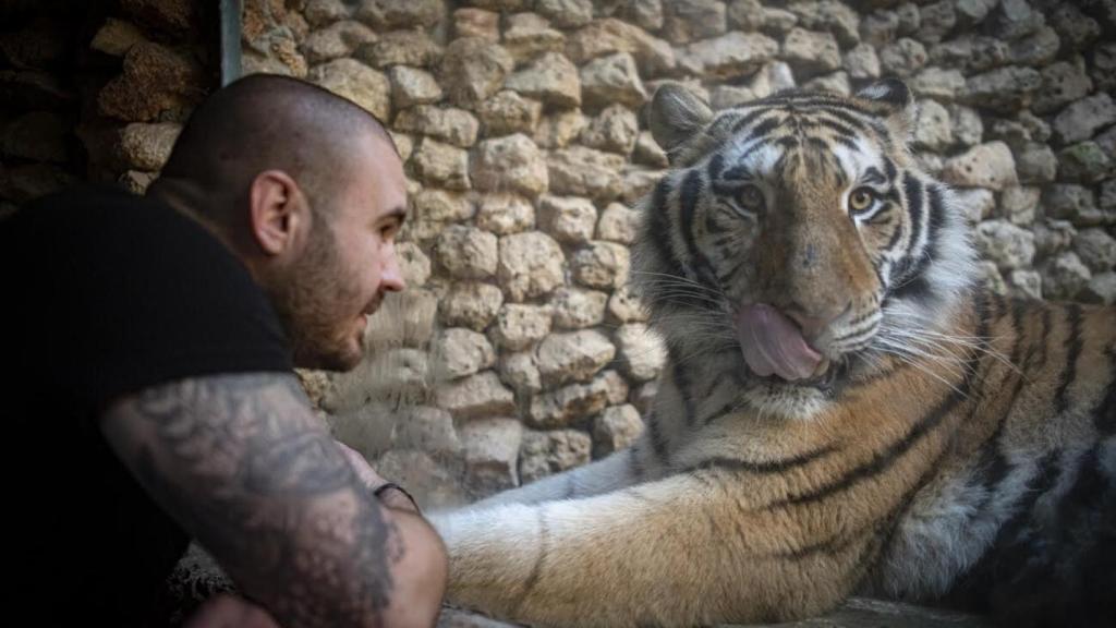 Los empleados del zoo, en el que trabajan biólogos y veterinarios, se encuentra bajo un ERTE.