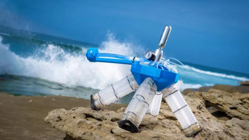 Crean un robot tortuga que funciona sin electrónica.