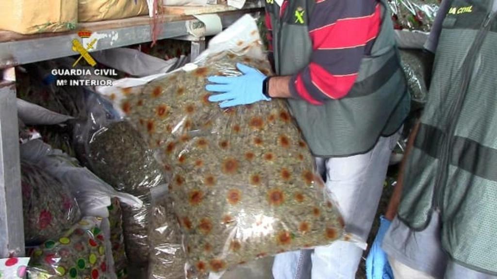 Un total de 23 detenidos por traficar con marihuana de Cádiz a Galicia y norte de Europa