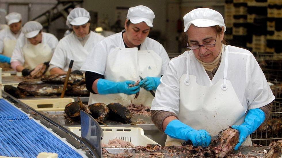 Proceso de elaboración en Conservas de Cambados.