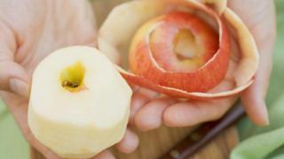 La piel es uno de los órganos que no asociamos enseguida al sistema inmune.