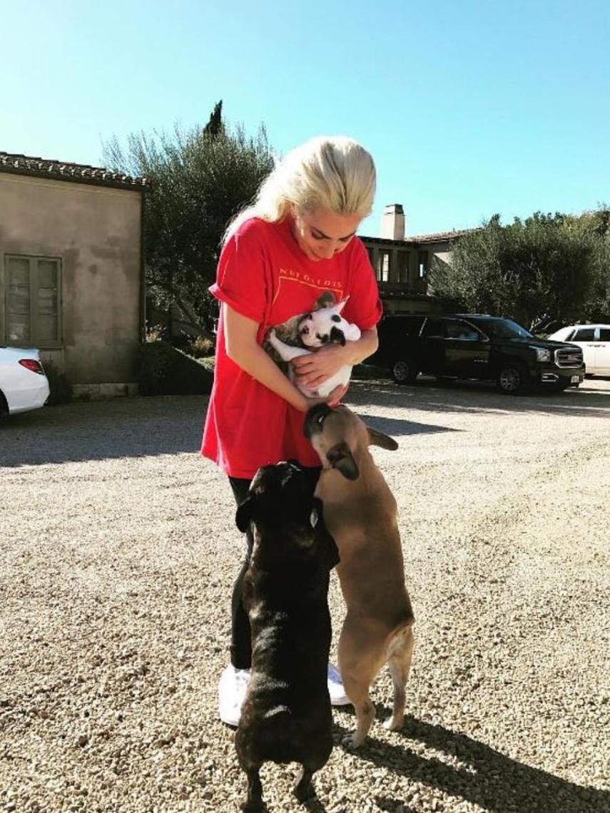 La cantante con sus tres bulldogs, que hoy lucha por recuperar.