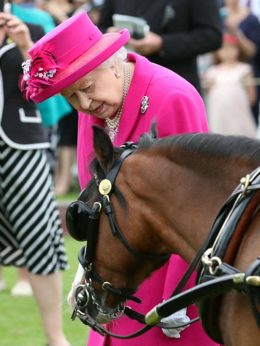 Isabel II durante una competición ecuestre.