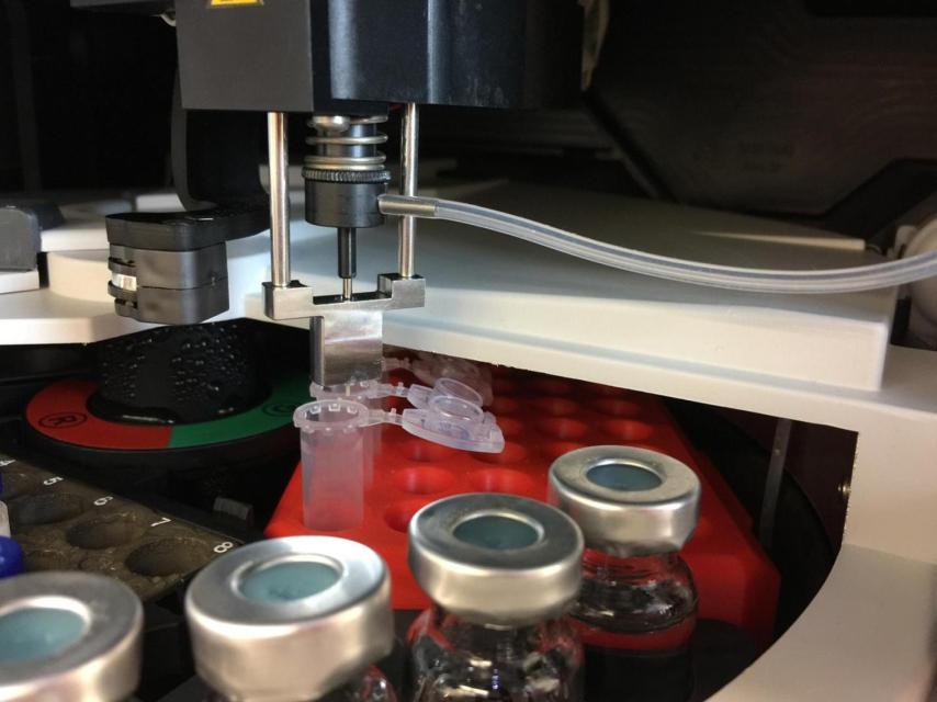 Las muestras de proteínas camino del espectómetro de masas.