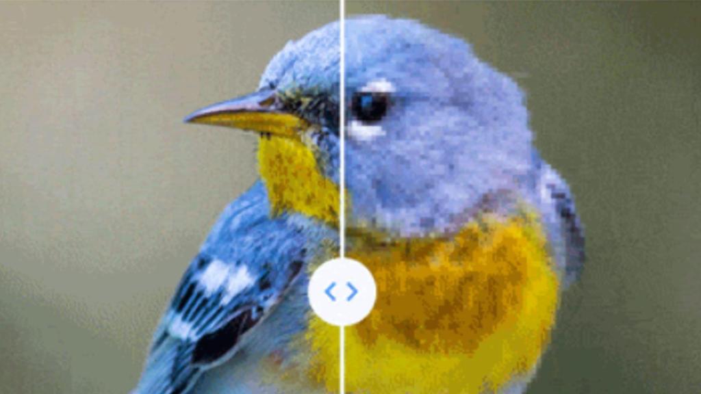 Comparativa de Google entre una foto en calidad original y modificada