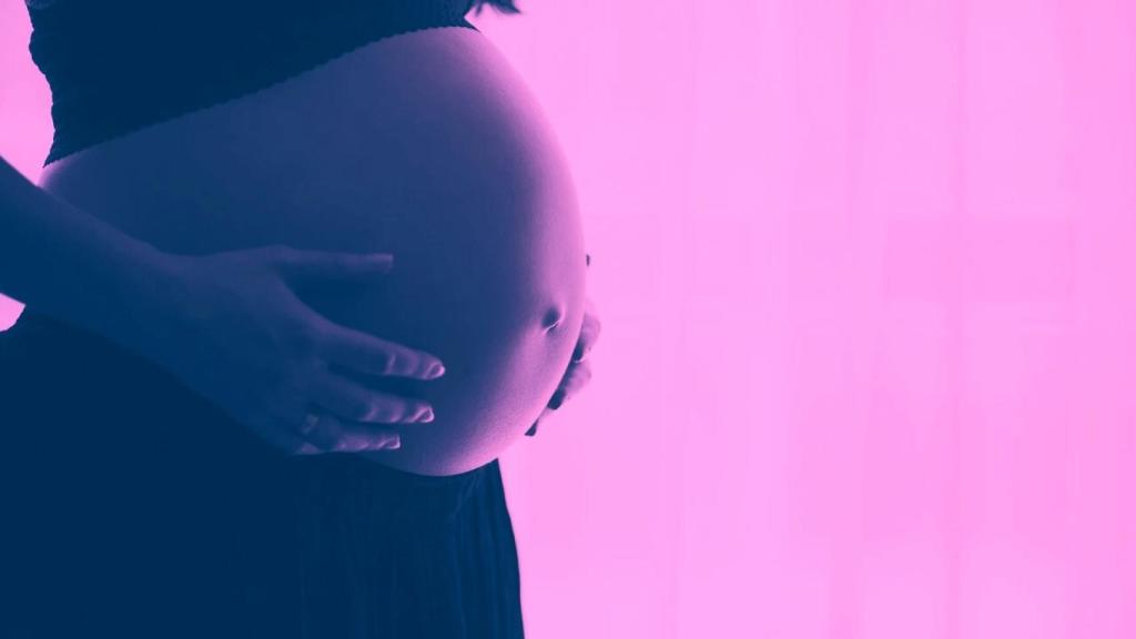 Maternidad y mercado laboral.