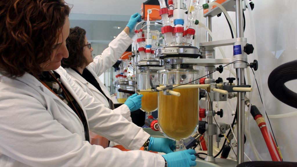 Dos investigadoras trabajan en uno de los laboratorios de Ainia, instituto de la red REDIT.