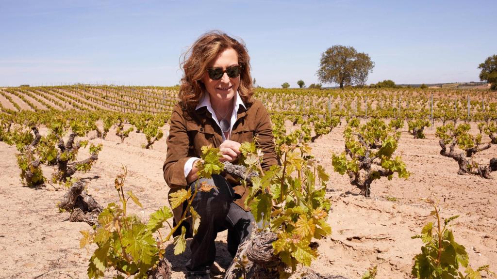 Camino Pardo, enóloga y CEO de Nexus&Frontaura.