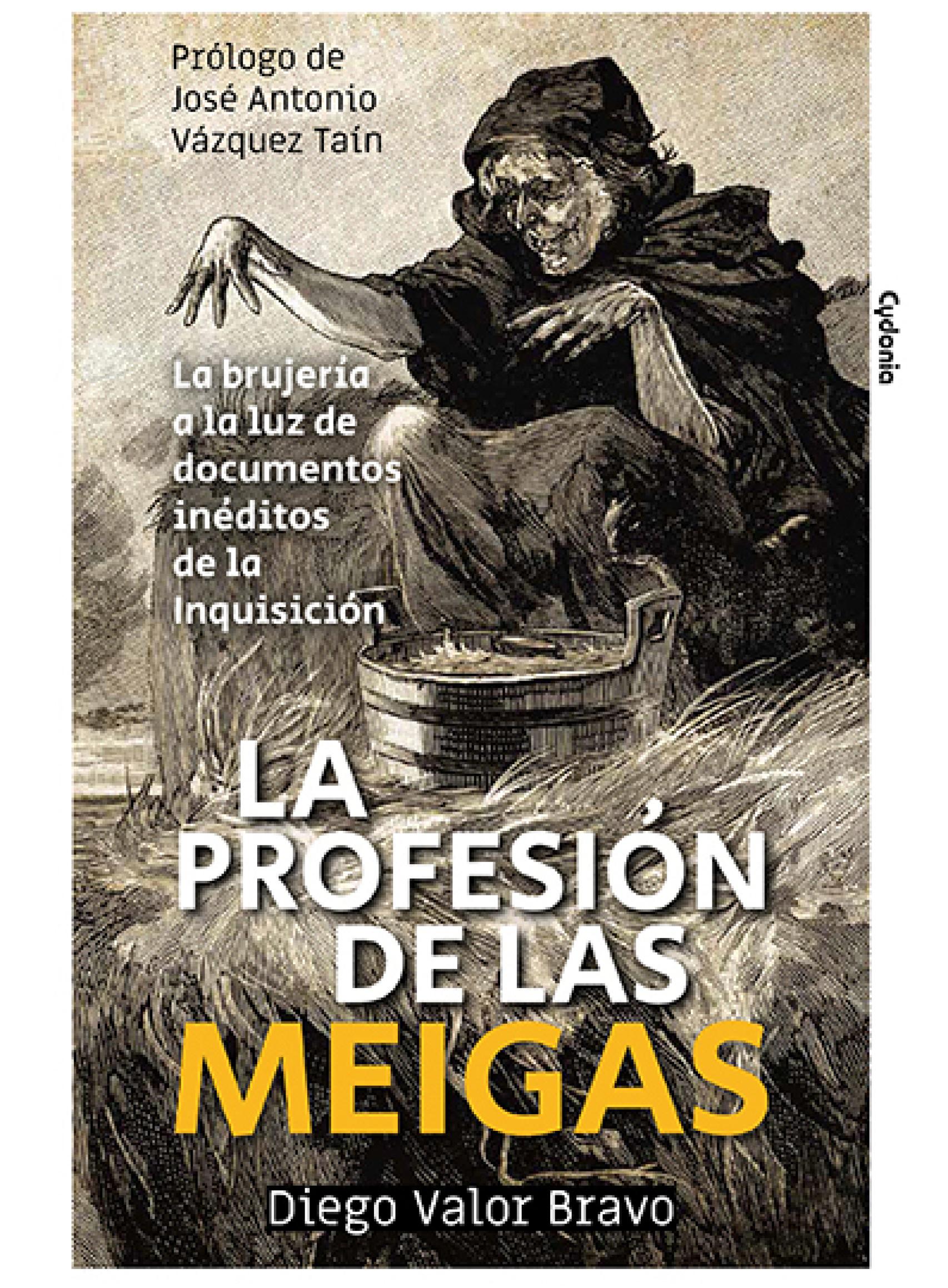 Portada de 'La profesión de las meigas'.