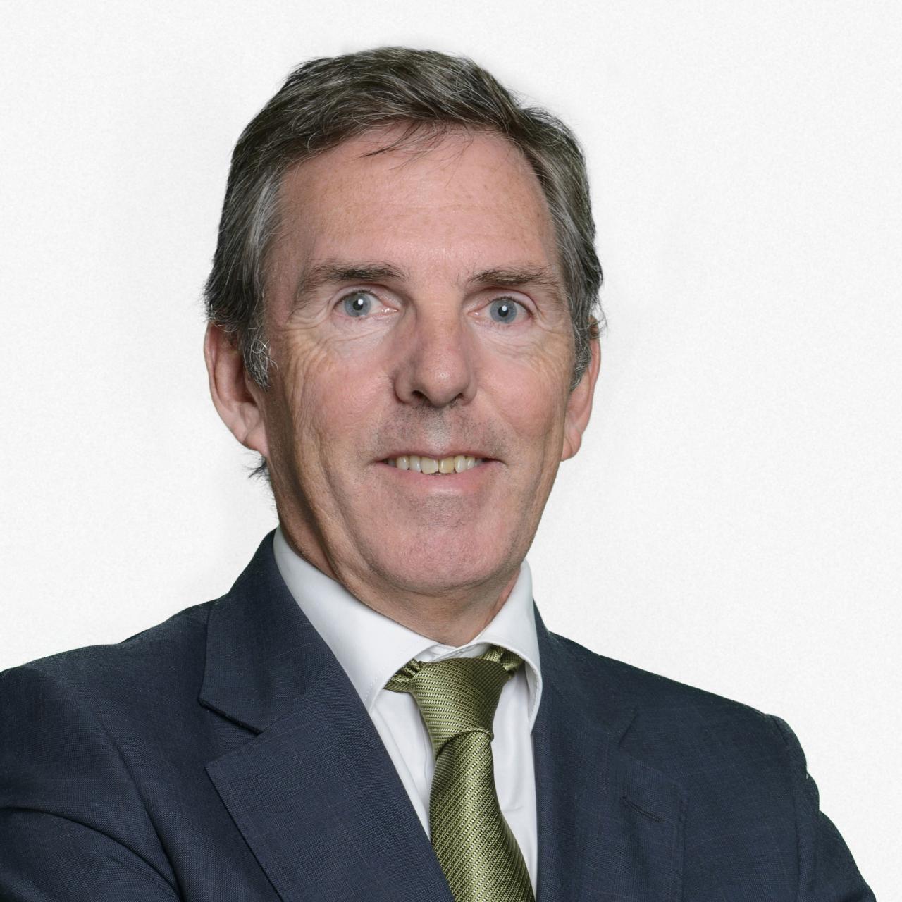 Asís Canales, director de compras y seguros de Iberdrola