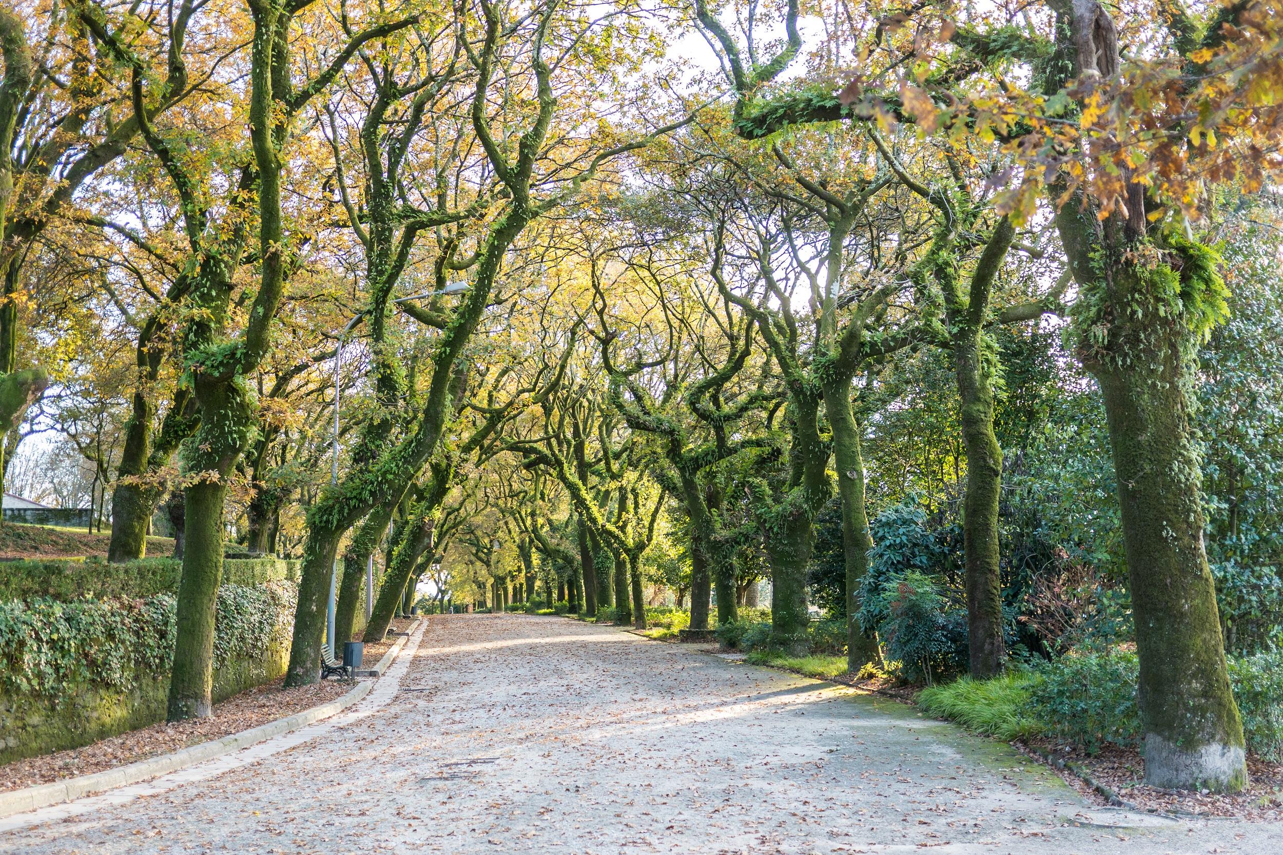 El parque de la Alameda, en Santiago de Compostela