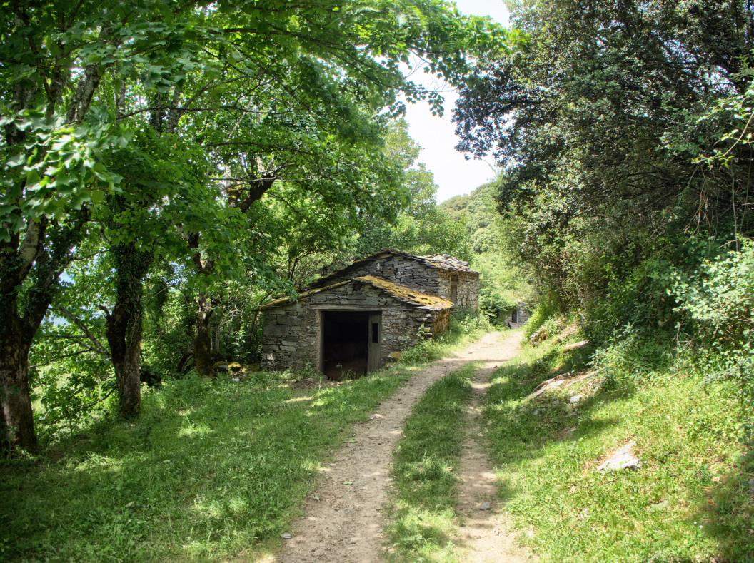 Sendero de la ruta (turismo.gal)