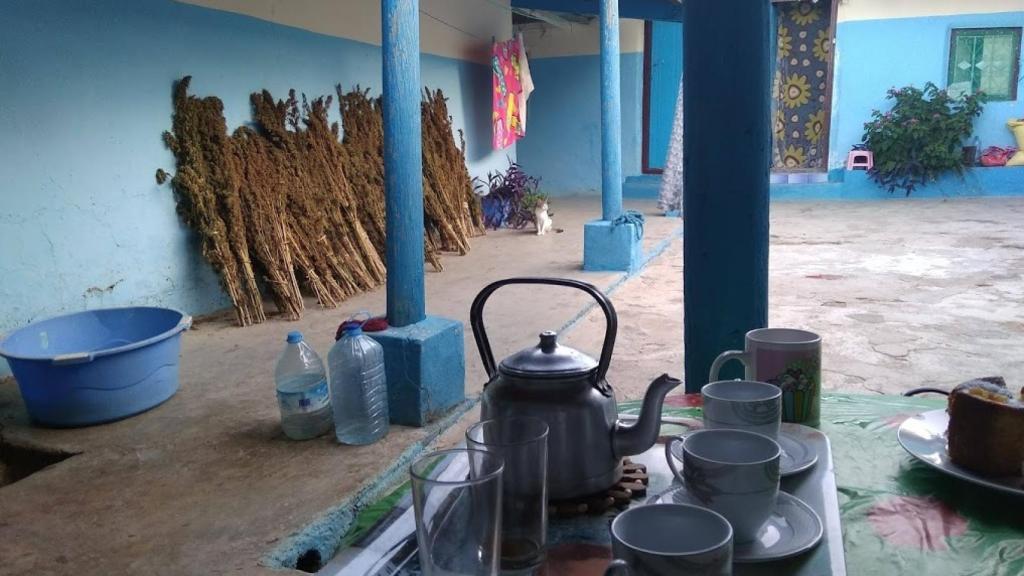 Secado de plantas de cannabis para su consumo.