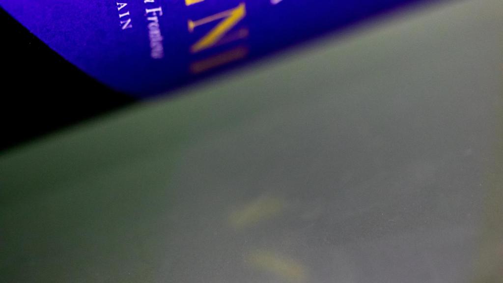 Iceni, el 'hermano pequeño' de ARX y Tesalia.