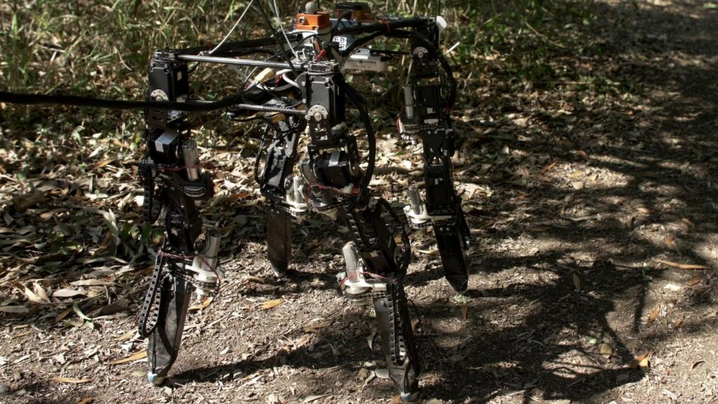 Así es el diseño de este peculiar robot.