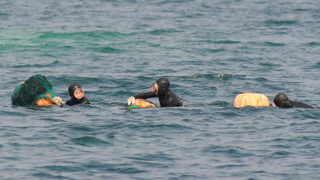 Varias mujeres haenyeo.