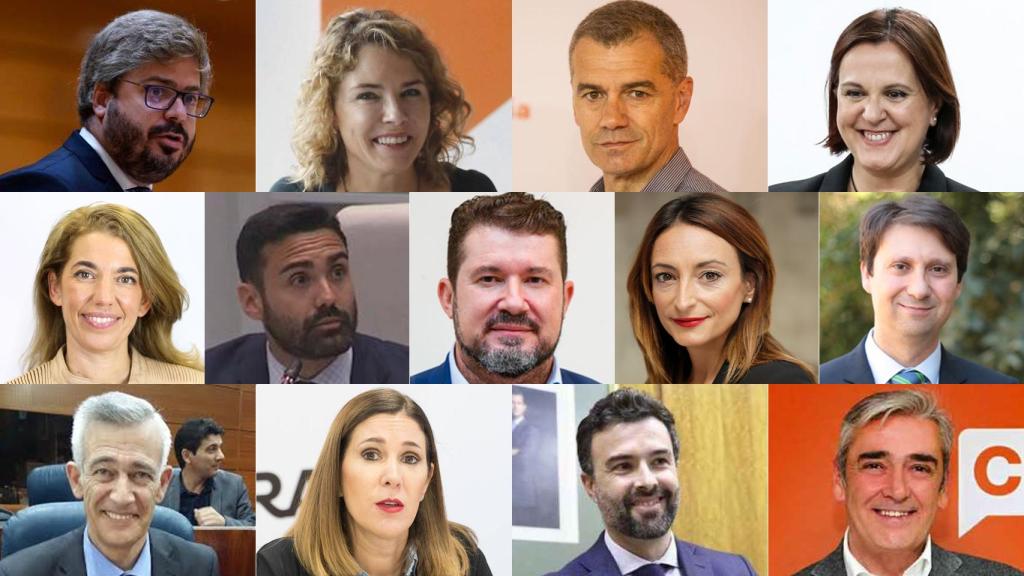 Los 13 cargos que han abandonado Cs. De arriba abajo y de izqda. a dcha.: Hervías, Martín, Cantó, Franco, Marbán, Brabezo, Argüeso,  Miguélez, Martínez Cantero, Rubio, Goñi, Cambronero y Álvarez.
