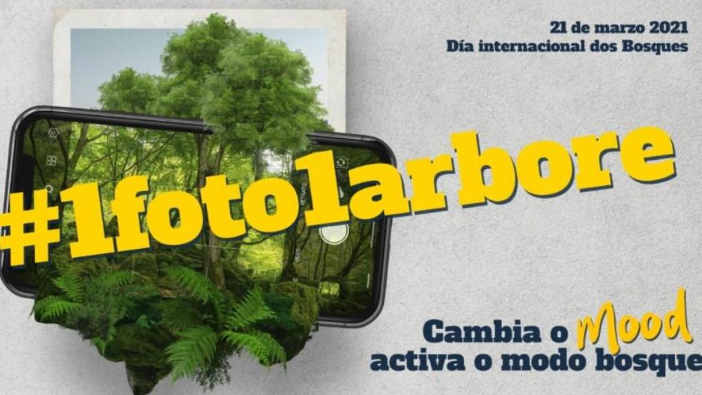 Imagen promocional de la campaña #1foto1árbore