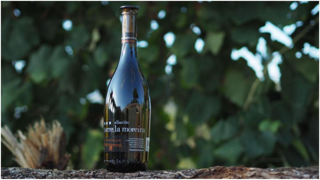 El albariño que se ha llevado la medalla de oro.