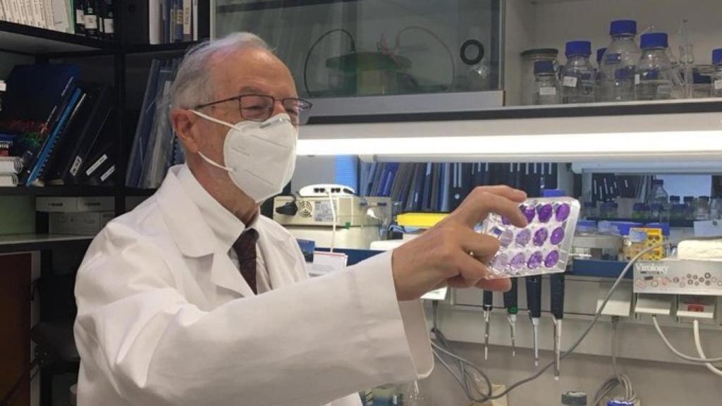El virólogo Luis Enjuanes, en el Centro Nacional de Biotecnología del CSIC. / CNB-CSIC Comunicación