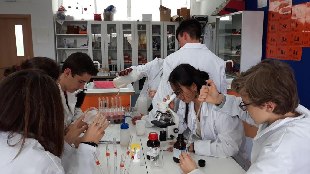 Colegio Base (Madrid)