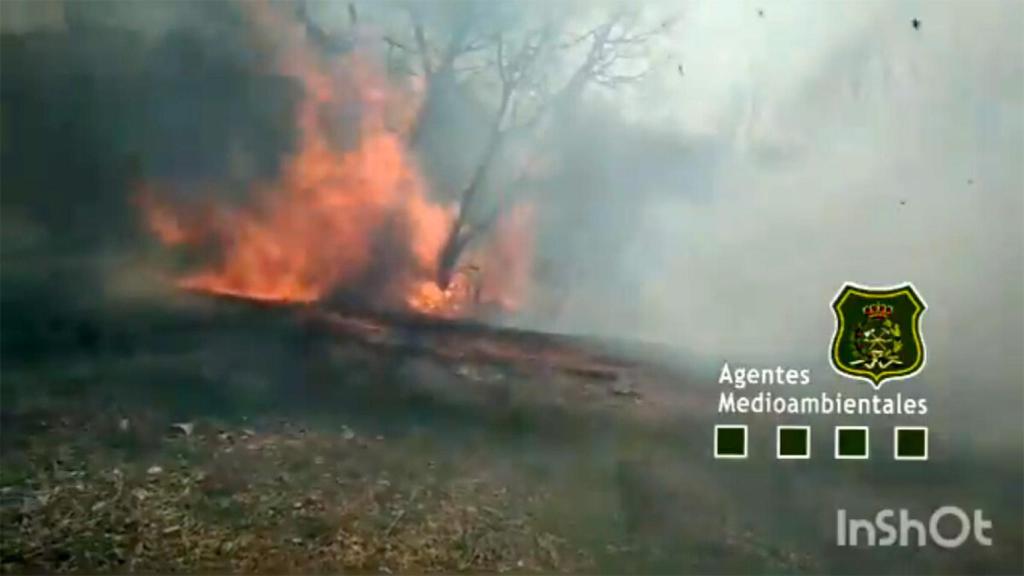 Incendio samir de los caños